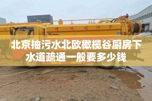 北京抽污水北歐橄欖谷廚房下水道疏通一般要多少錢