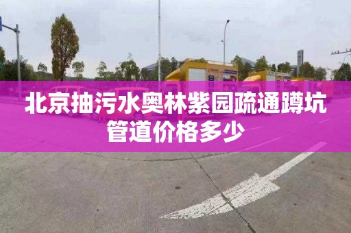 北京抽污水奧林紫園疏通蹲坑管道價格多少