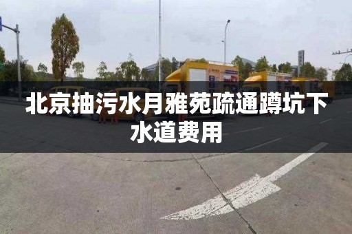 北京抽污水月雅苑疏通蹲坑下水道費用