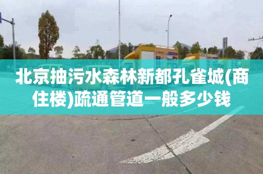 北京抽污水森林新都孔雀城(商住樓)疏通管道一般多少錢