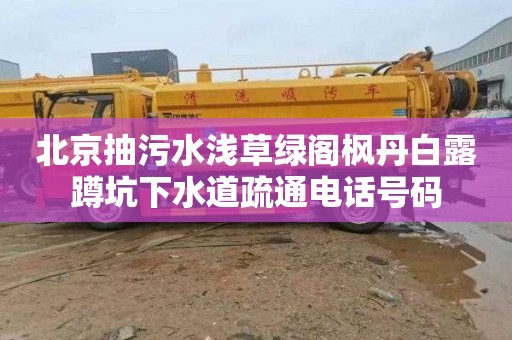 北京抽污水淺草綠閣楓丹白露蹲坑下水道疏通電話號(hào)碼