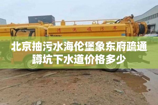 北京抽污水海倫堡象東府疏通蹲坑下水道價格多少