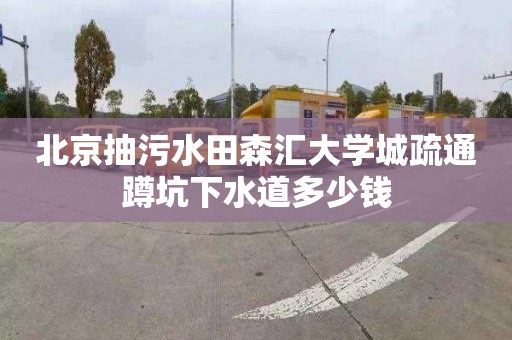 北京抽污水田森匯大學(xué)城疏通蹲坑下水道多少錢