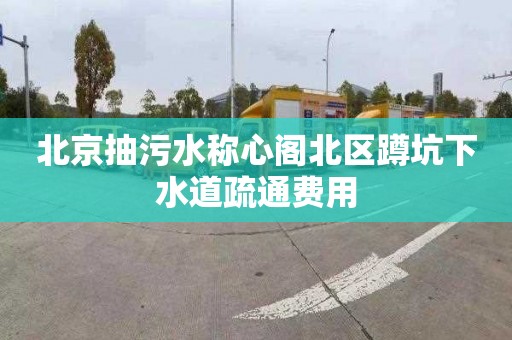 北京抽污水稱心閣北區蹲坑下水道疏通費用