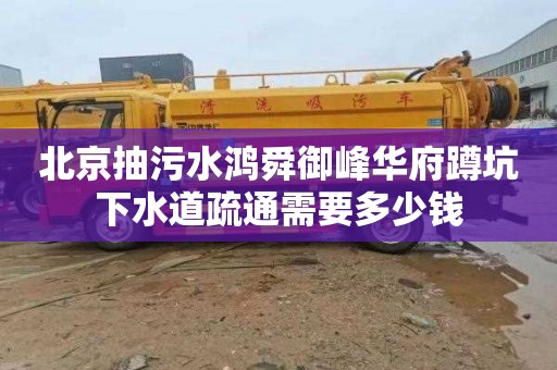 北京抽污水鴻舜御峰華府蹲坑下水道疏通需要多少錢(qián)