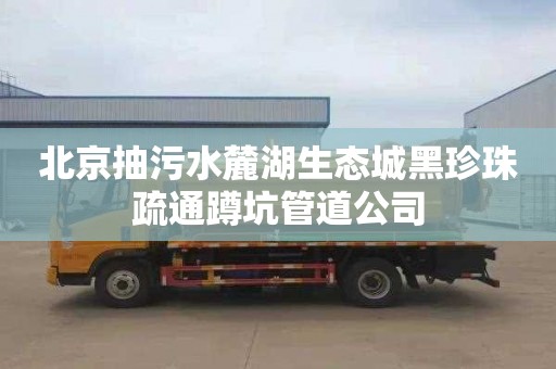 北京抽污水麓湖生態城黑珍珠疏通蹲坑管道公司