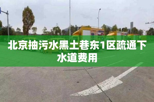 北京抽污水黑土巷東1區(qū)疏通下水道費(fèi)用