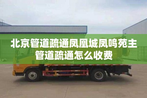 北京管道疏通鳳凰城鳳鳴苑主管道疏通怎么收費