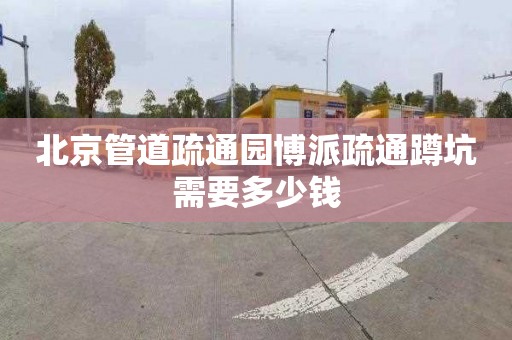 北京管道疏通園博派疏通蹲坑需要多少錢