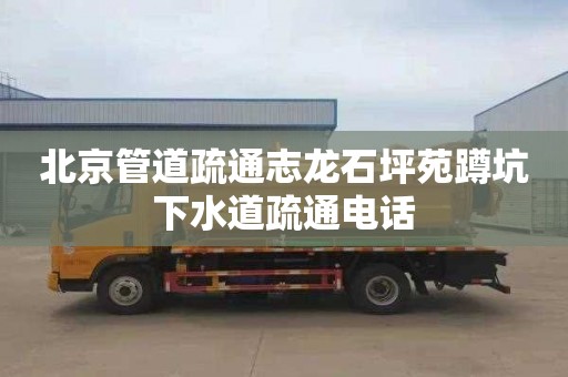 北京管道疏通志龍石坪苑蹲坑下水道疏通電話