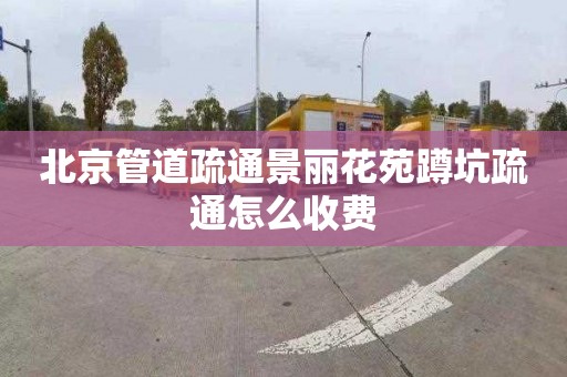 北京管道疏通景麗花苑蹲坑疏通怎么收費