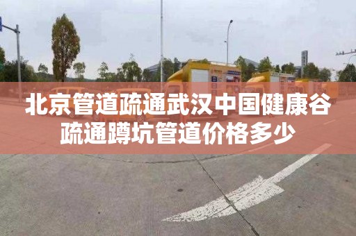 北京管道疏通武漢中國健康谷疏通蹲坑管道價格多少