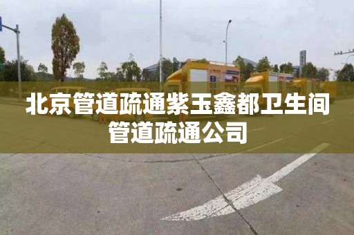 北京管道疏通紫玉鑫都衛生間管道疏通公司