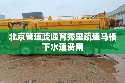 北京管道疏通育秀里疏通馬桶下水道費用