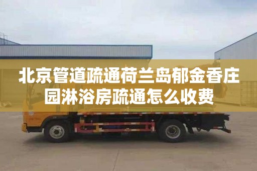 北京管道疏通荷蘭島郁金香莊園淋浴房疏通怎么收費(fèi)