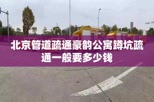 北京管道疏通豪韻公寓蹲坑疏通一般要多少錢