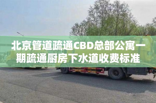 北京管道疏通CBD總部公寓一期疏通廚房下水道收費標準