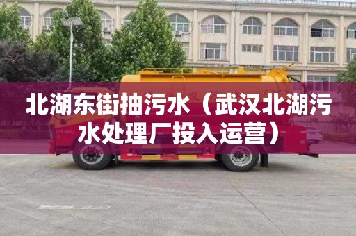 北湖東街抽污水（武漢北湖污水處理廠投入運營）