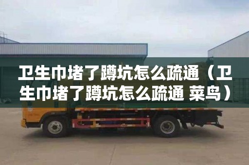 衛生巾堵了蹲坑怎么疏通（衛生巾堵了蹲坑怎么疏通 菜鳥）