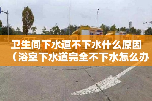 衛生間下水道不下水什么原因（浴室下水道完全不下水怎么辦）