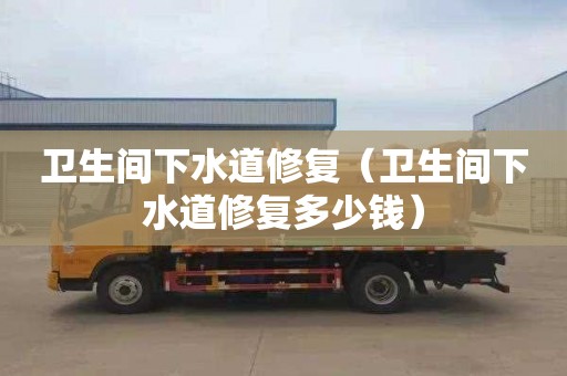 衛生間下水道修復（衛生間下水道修復多少錢）