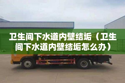 衛生間下水道內壁結垢（衛生間下水道內壁結垢怎么辦）