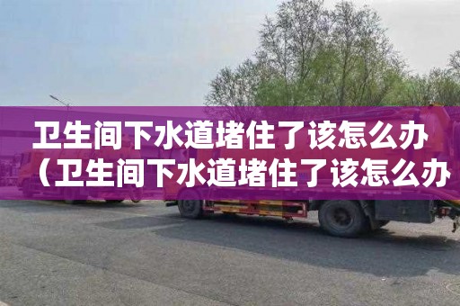 衛(wèi)生間下水道堵住了該怎么辦（衛(wèi)生間下水道堵住了該怎么辦呢）