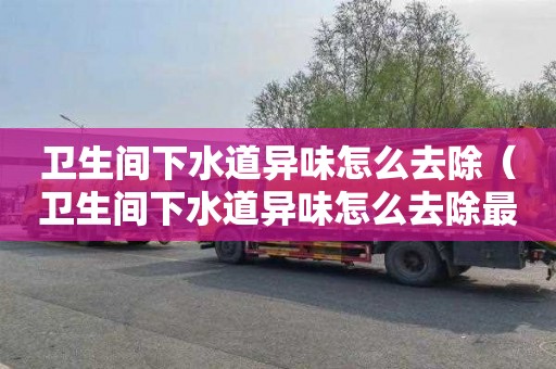 衛生間下水道異味怎么去除（衛生間下水道異味怎么去除最有效）