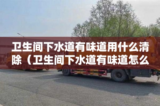 衛生間下水道有味道用什么清除（衛生間下水道有味道怎么去除）