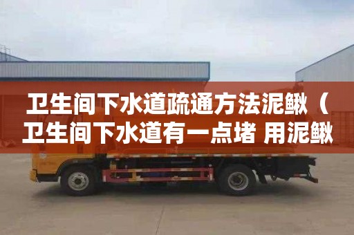 衛生間下水道疏通方法泥鰍（衛生間下水道有一點堵 用泥鰍可以嗎）