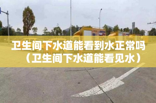 衛生間下水道能看到水正常嗎（衛生間下水道能看見水）