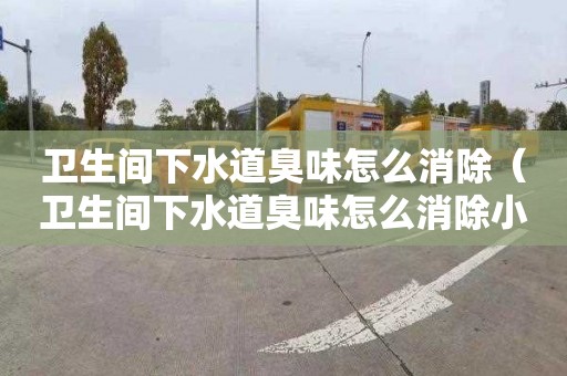 衛生間下水道臭味怎么消除（衛生間下水道臭味怎么消除小妙招）