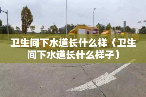 衛生間下水道長什么樣（衛生間下水道長什么樣子）