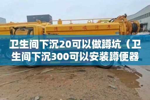 衛生間下沉20可以做蹲坑（衛生間下沉300可以安裝蹲便器）