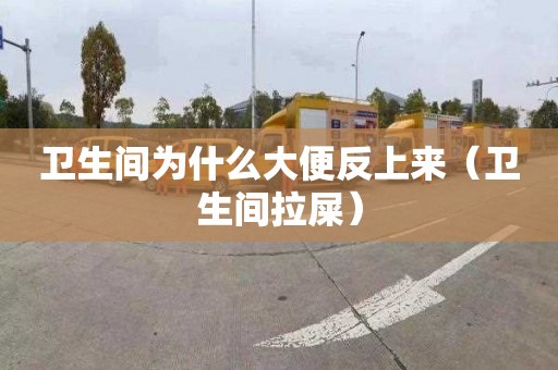 衛生間為什么大便反上來（衛生間拉屎）