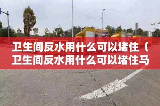 衛生間反水用什么可以堵住（衛生間反水用什么可以堵住馬桶）