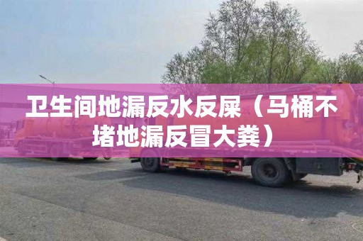 衛生間地漏反水反屎（馬桶不堵地漏反冒大糞）