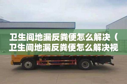 衛生間地漏反糞便怎么解決（衛生間地漏反糞便怎么解決視頻）