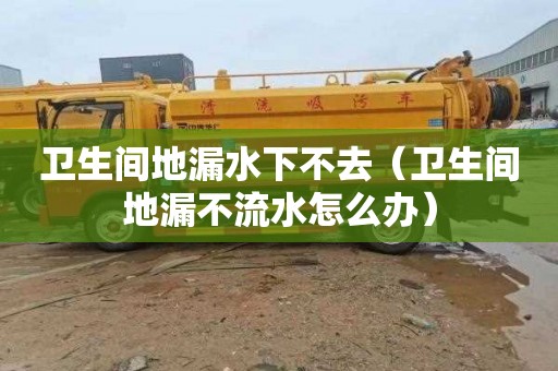 衛(wèi)生間地漏水下不去（衛(wèi)生間地漏不流水怎么辦）