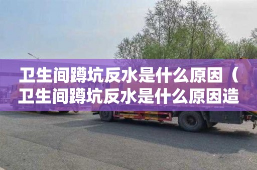 衛生間蹲坑反水是什么原因（衛生間蹲坑反水是什么原因造成的）