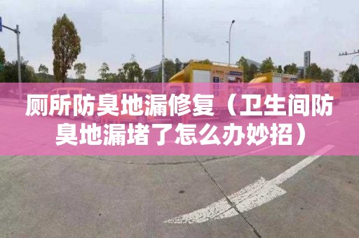 廁所防臭地漏修復（衛生間防臭地漏堵了怎么辦妙招）