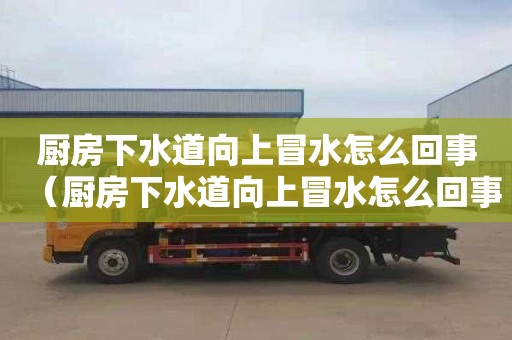 廚房下水道向上冒水怎么回事（廚房下水道向上冒水怎么回事啊）