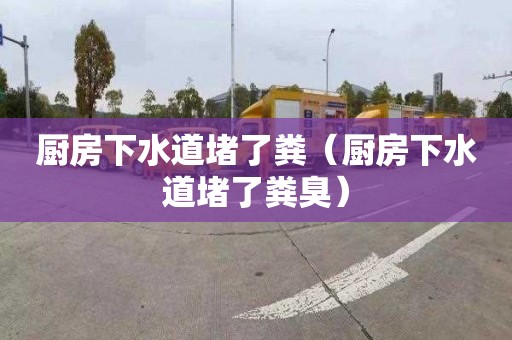 廚房下水道堵了糞（廚房下水道堵了糞臭）