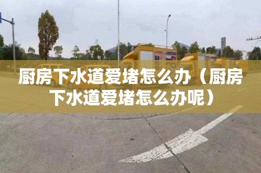 廚房下水道愛堵怎么辦（廚房下水道愛堵怎么辦呢）