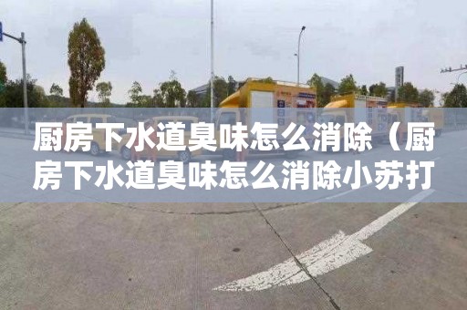 廚房下水道臭味怎么消除（廚房下水道臭味怎么消除小蘇打）