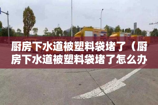 廚房下水道被塑料袋堵了（廚房下水道被塑料袋堵了怎么辦妙招）