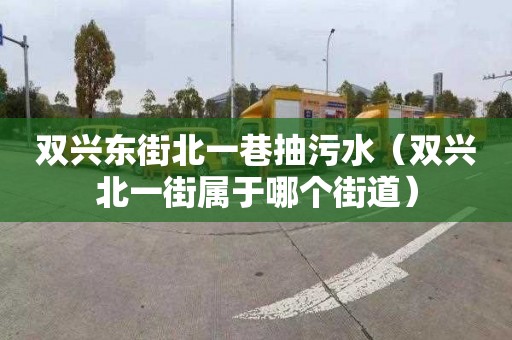 雙興東街北一巷抽污水（雙興北一街屬于哪個街道）