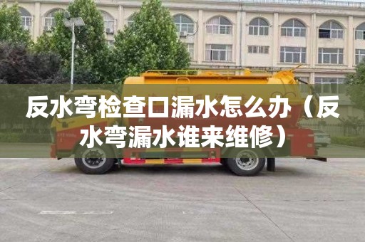 反水彎檢查口漏水怎么辦（反水彎漏水誰來維修）