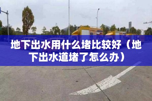 地下出水用什么堵比較好（地下出水道堵了怎么辦）