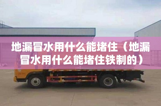 地漏冒水用什么能堵住（地漏冒水用什么能堵住鐵制的）